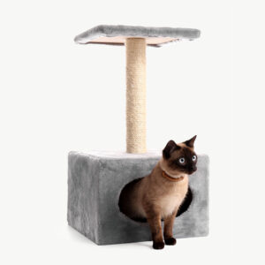 Cat play house