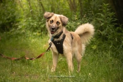 NALA (17.06.2025)