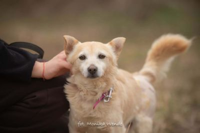 ARTUREK (17.03.2026)